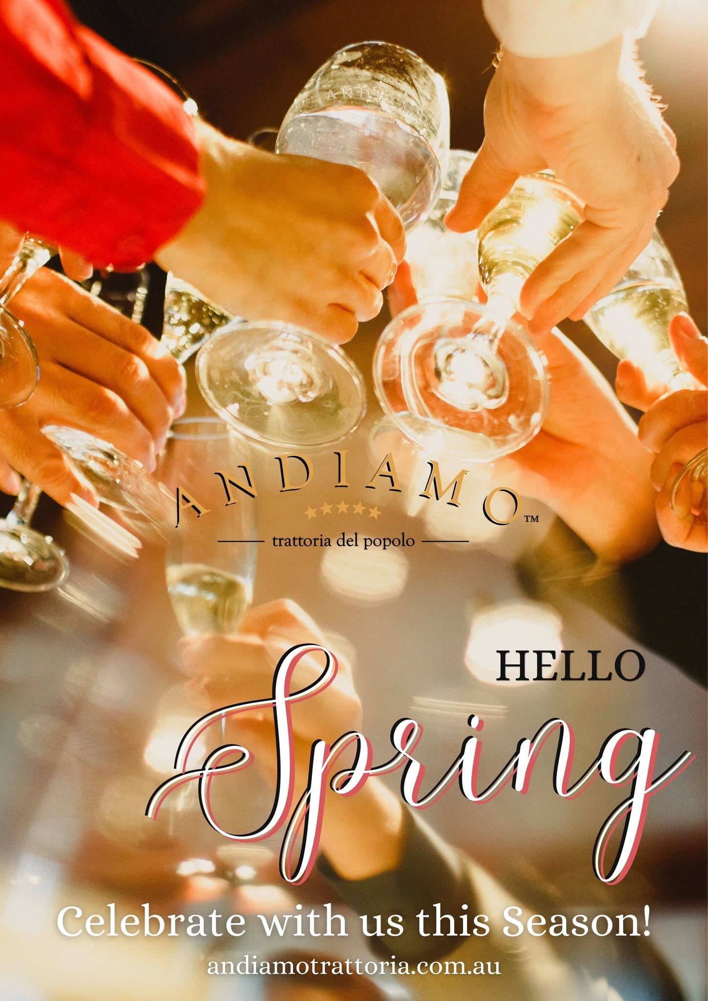  - Andiamo Trattoria Sydney